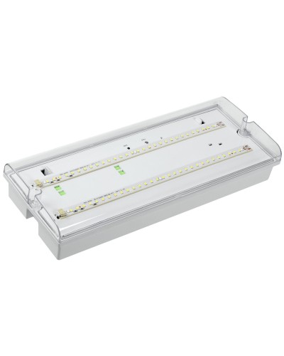 Светильник аварийный ДПА 5042-1 1ч IP65 LIGHTING (LDPA0-5042-1-65-K01). Светильник аварийный универсальный. IEK в Коломне