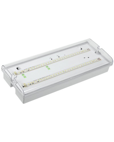 Светильник аварийный ДПА 5042-3 3ч IP65 LIGHTING (LDPA0-5042-3-65-K01). Светильник аварийный универсальный. IEK в Коломне