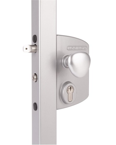 LIKQ4040 U2L (цвет: RAL 9005, черный). Замок электромеханический для калиток. Locinox в Коломне