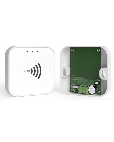 RFID-TM. Считыватель RFID. Ритм в Коломне